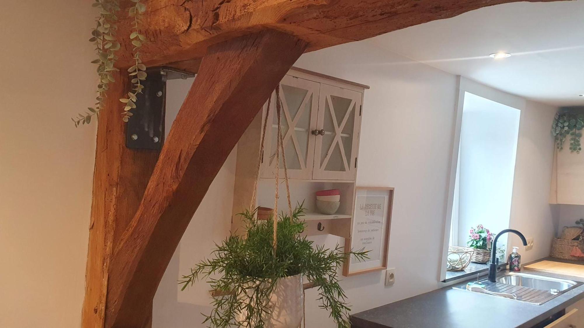 Petite Bulle De Saint Remacle Lägenhet Stavelot Exteriör bild